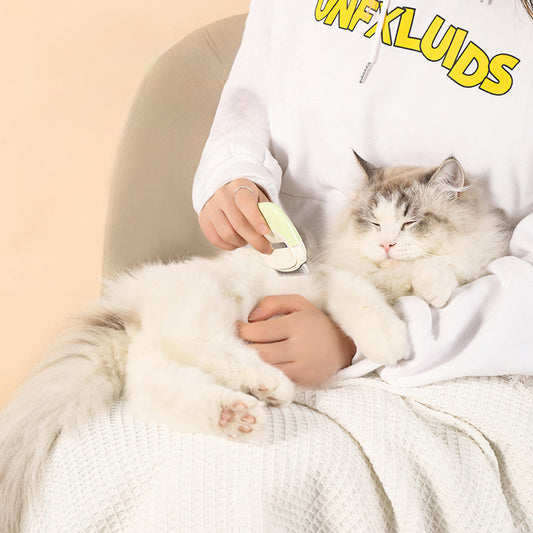 Person using pet grooming tool to brush fluffy white cat on lap